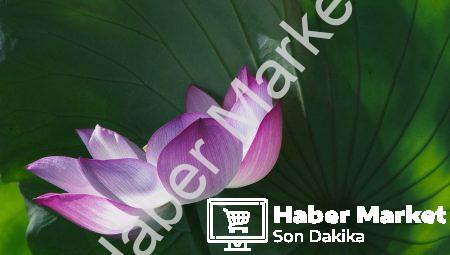 Seçimlerde Dikkat Edilmesi Gerekenler