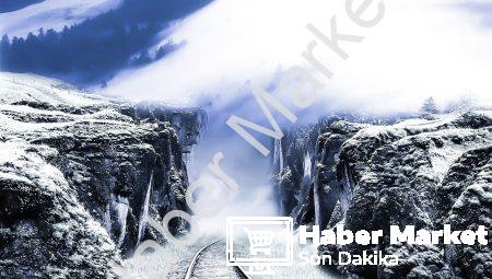 Liderlik ve İklim Değişikliği: Dünya Liderleri Ne Yapmalı?