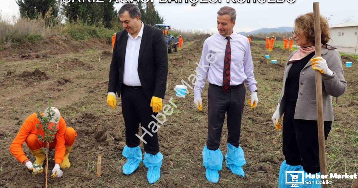 "Dalaman'da Tarımsal Kalkınma: Cezaevine Sakız Ağacı Bahçesi Kuruldu" başlıklı haber için fotorealis