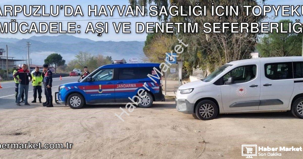 "Karpuzlu’da Hayvan Sağlığı İçin Topyekûn Mücadele: Aşı ve Denetim Seferberliği" başlıklı haber için