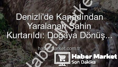 Denizli’de Kanadından Yaralanan Şahin Kurtarıldı: Doğaya Dönüş Yolculuğu Başladı