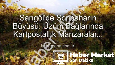 Sarıgöl’de Sonbahar Büyüsü: Üzüm Bağlarında Kartpostallık Manzaralar Eşliğinde Budama Zamanı