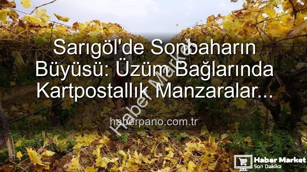 Sarıgöl üzüm bağları - Sarıgöl'de Sonbahar Büyüsü: Üzüm Bağlarında Kartpostallık Manzaralar Eşliğinde Budama Zamanı