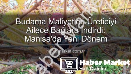 Budama Maliyetleri Üreticiyi Ailece Bağlara İndirdi: Manisa’da Yeni Dönem