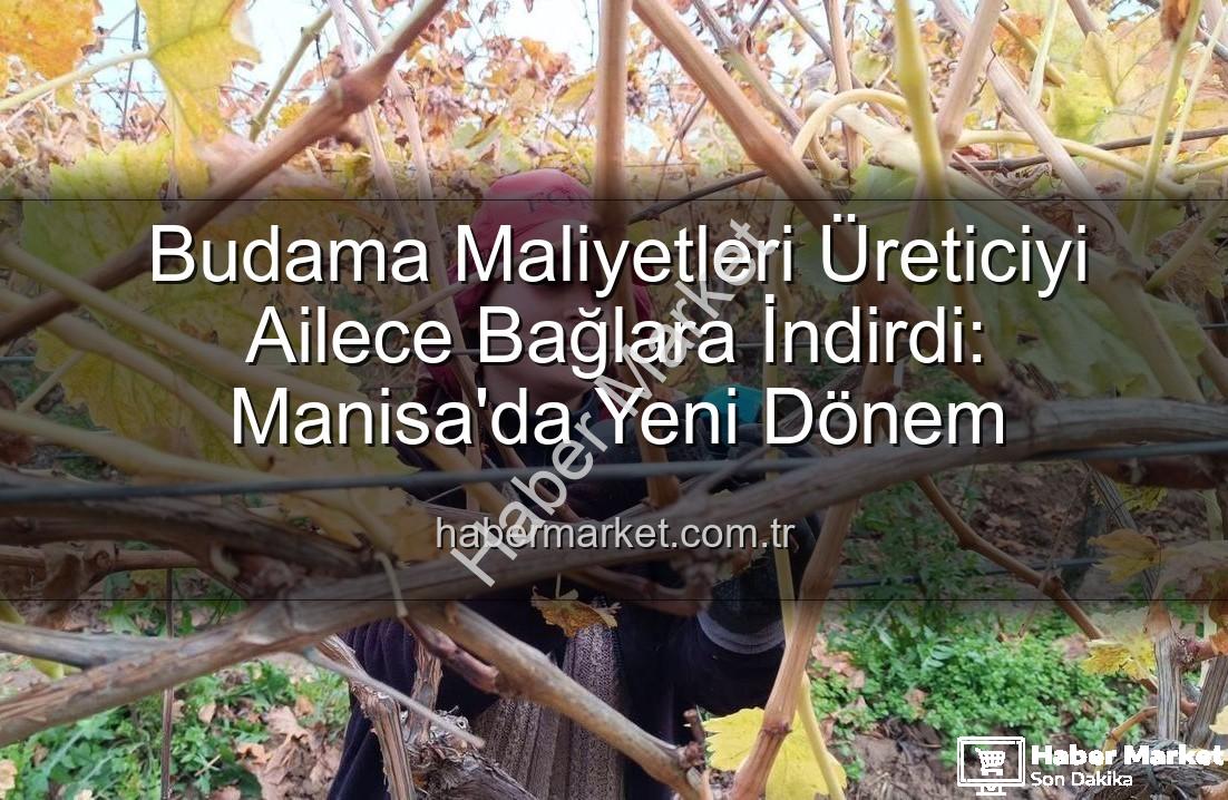 budama maliyeti - Budama Maliyetleri Üreticiyi Ailece Bağlara İndirdi: Manisa'da Yeni Dönem
