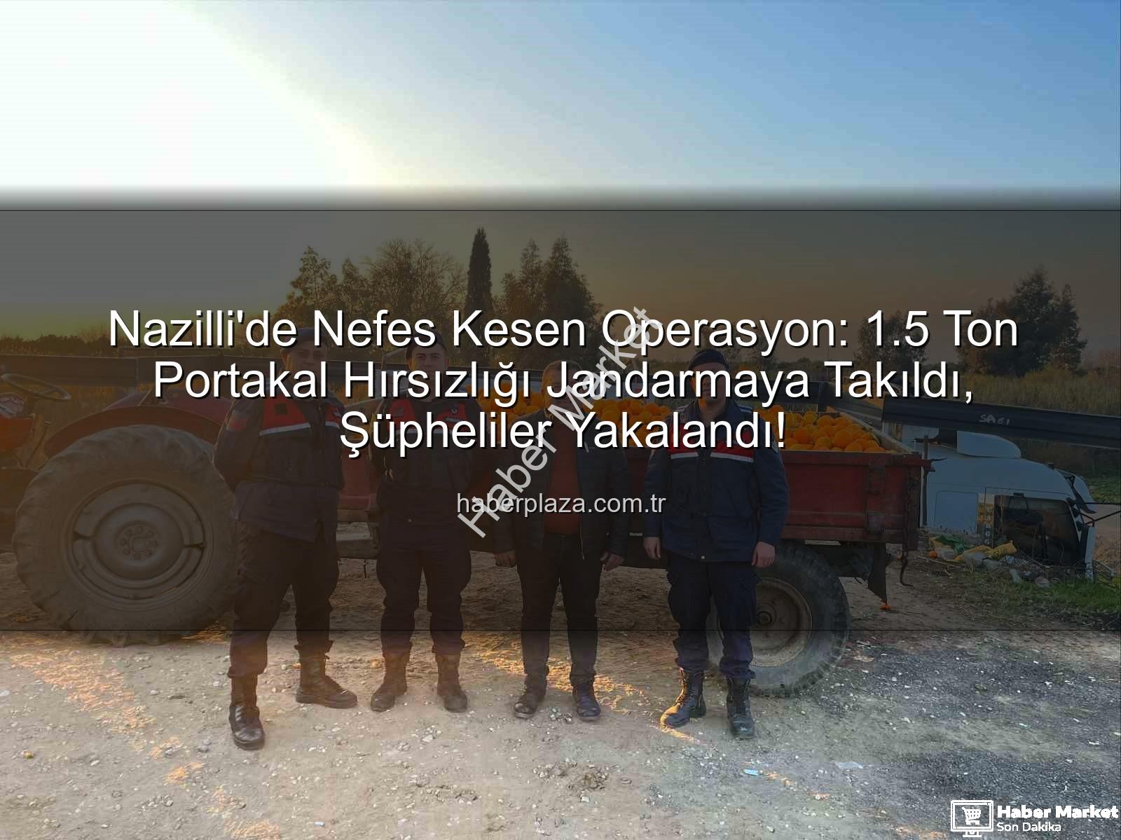 portakal hırsızlığı - Nazilli'de Büyük Operasyon: 1.5 Ton Portakal Hırsızlığı Jandarmaya Takıldı, Şüpheliler Yakalandı