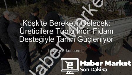 Köşk’te Bereketli Gelecek: Üreticilere Tüplü İncir Fidanı Desteğiyle Tarım Güçleniyor