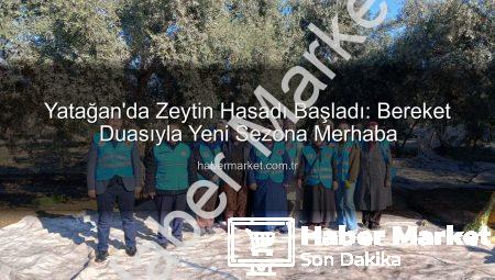 Yatağan’da Zeytin Hasadı Başladı: Bereket Duasıyla Yeni Sezona Merhaba
