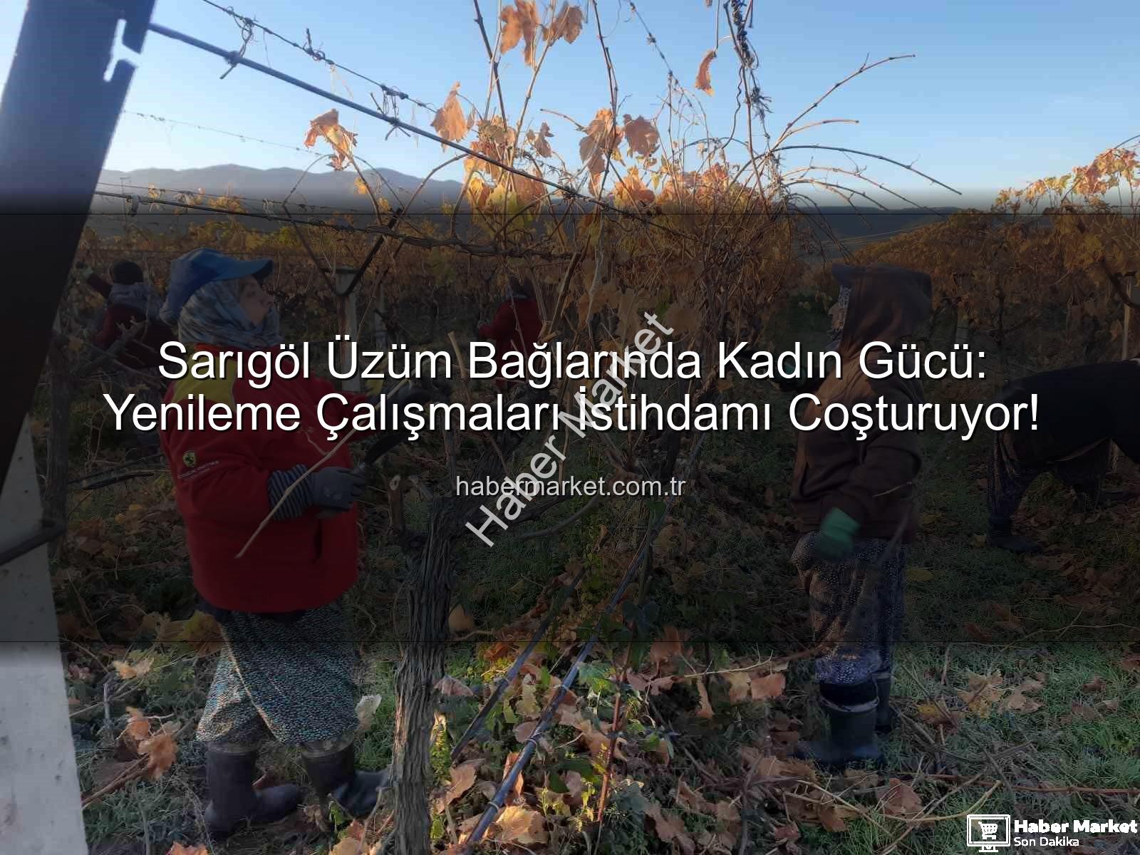kadın istihdamı - Sarıgöl Üzüm Bağlarında Kadın Gücü: Yenileme Çalışmaları İstihdamı Coşturuyor!