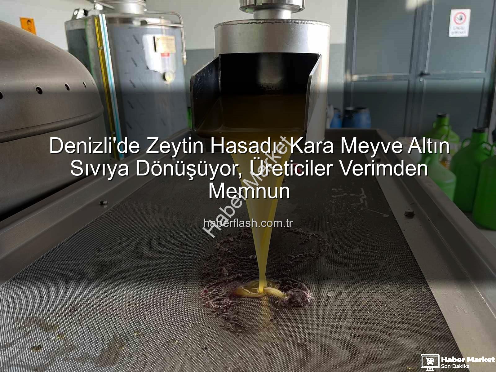 Denizli zeytinyağı - Denizli'de Zeytin Altın Sıvıya Dönüşüyor: Buldan'dan Küresel Pazarlara Uzanan Lezzet Yolculuğu