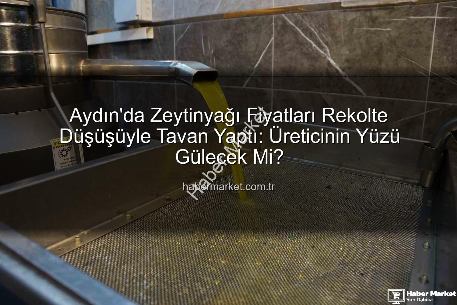 zeytinyağı fiyatları - Aydın'da Zeytinyağı Fiyatları Rekolte Düşüşüyle Tavan Yaptı: Üreticinin Yüzü Gülecek Mi?